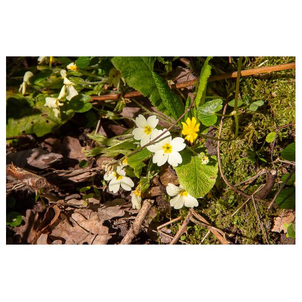 PHOTO84, CLUB, 84 , LUBERON